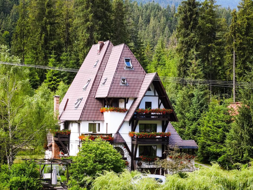 Pensiunea Casa Noastra Арьешени Экстерьер фото