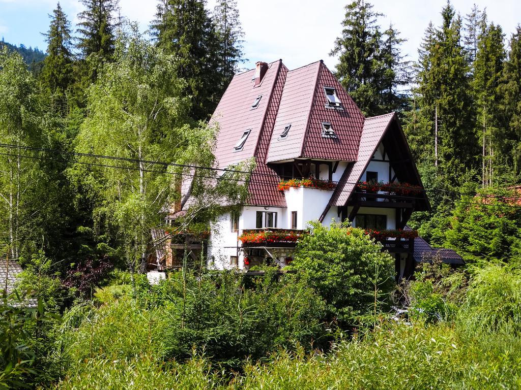 Pensiunea Casa Noastra Арьешени Экстерьер фото