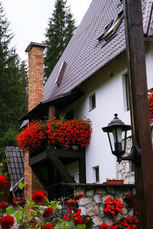 Pensiunea Casa Noastra Арьешени Экстерьер фото